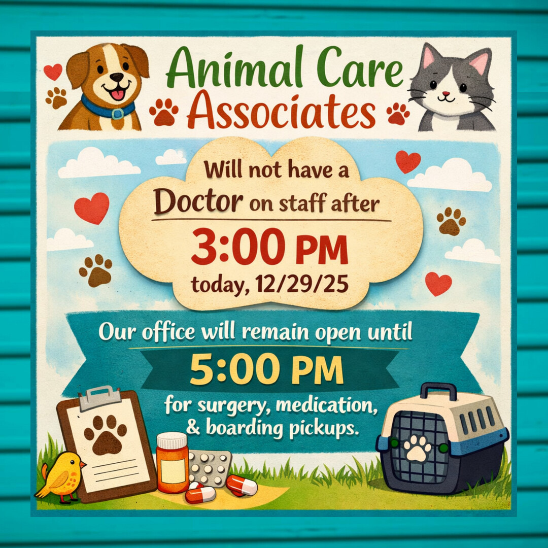 AnimalCareWV's tweet photo. https://t.co/SBIY0a85yU