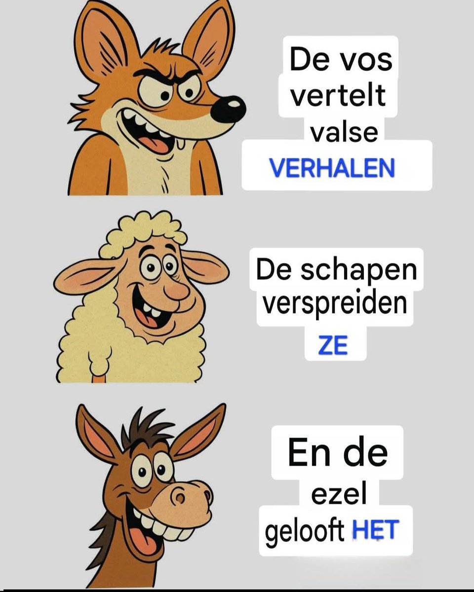 PascalCluyssen's tweet photo. https://t.co/1hvujZMbNf