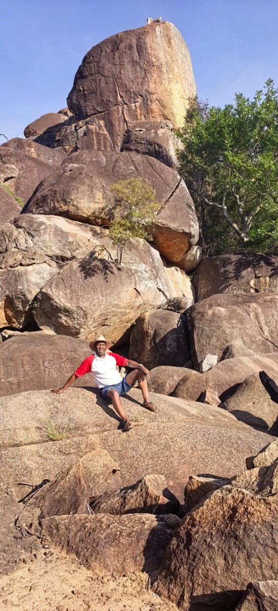 African Tourism Board tweet media