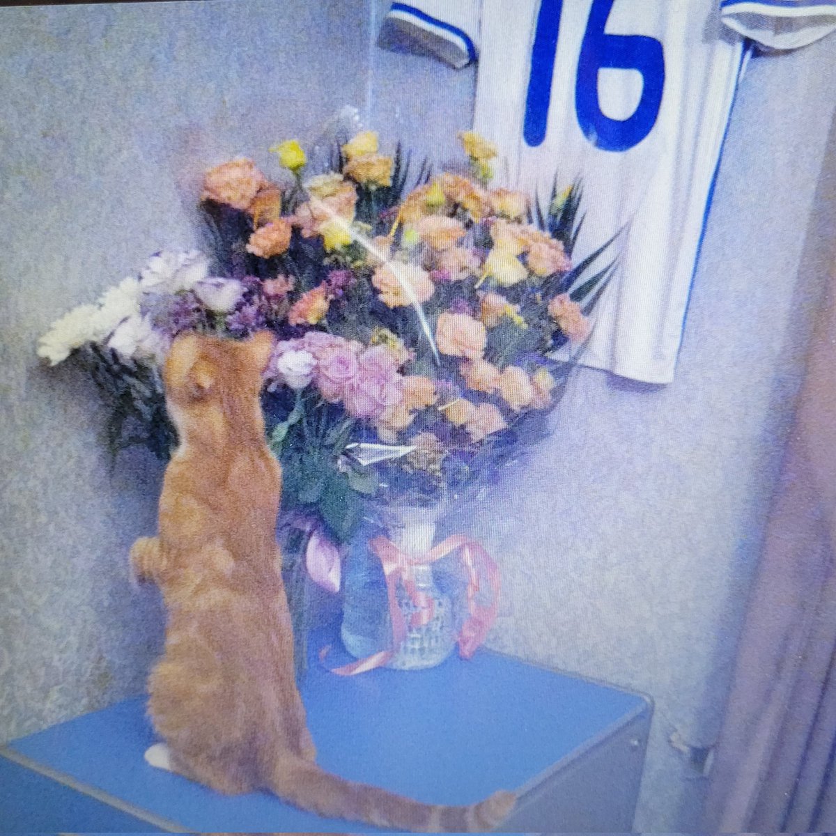 Випадково побачила фотки з минулого життя

Сумно, бо ваших донатів на машини сьогодні не бачила ♡ send.monobank.ua/jar/8gQ5Y1ttGo