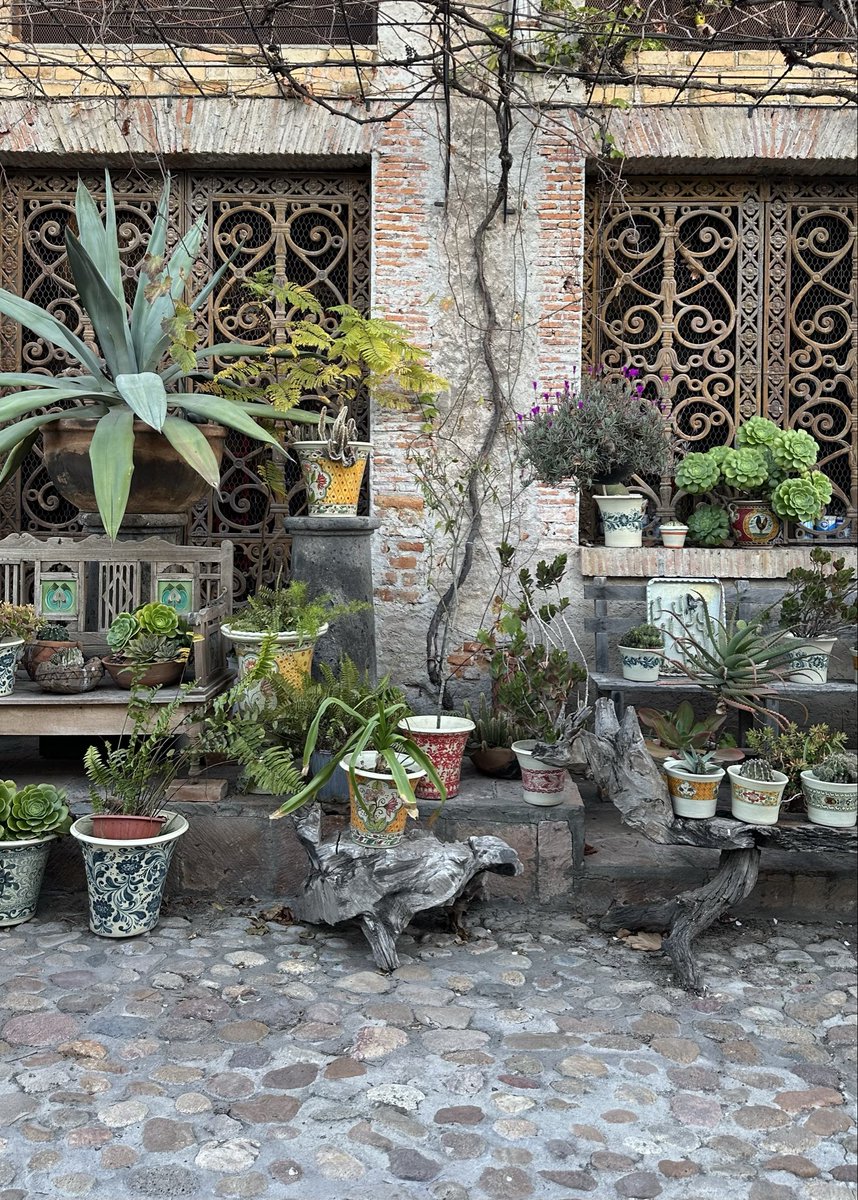 wonder_m_r's tweet photo. Patios “MEXIMALISTAS” https://t.co/0juHW5Ixzv