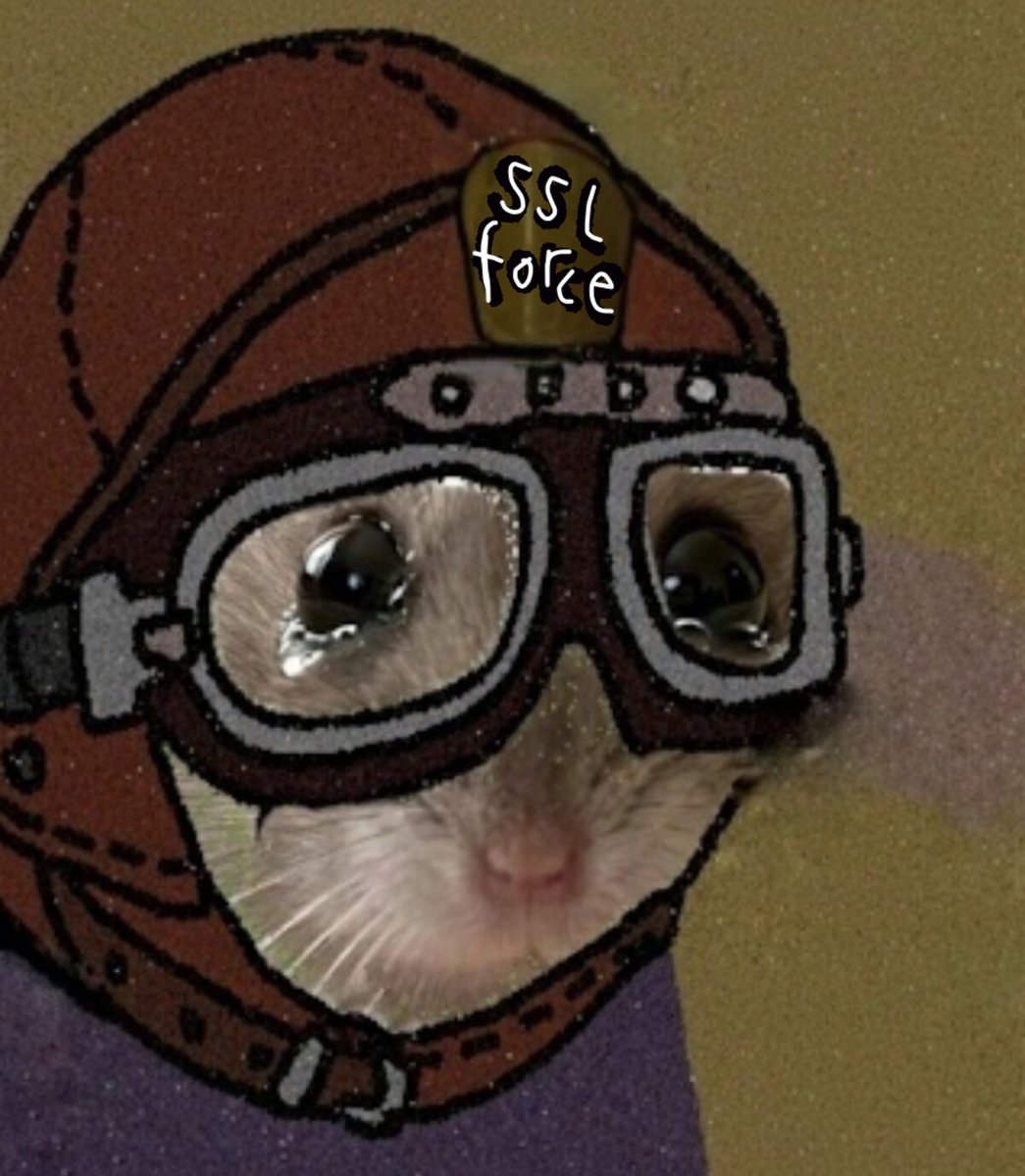 $SSL  day-11 Hey fam as I said am very busy lately but I ll push back once i have the funds for it. Also we have an amazing community they still grinding throghr lows and high. I ll keep being fair and transparent with you all. I make any profits from this job. But I ll keep