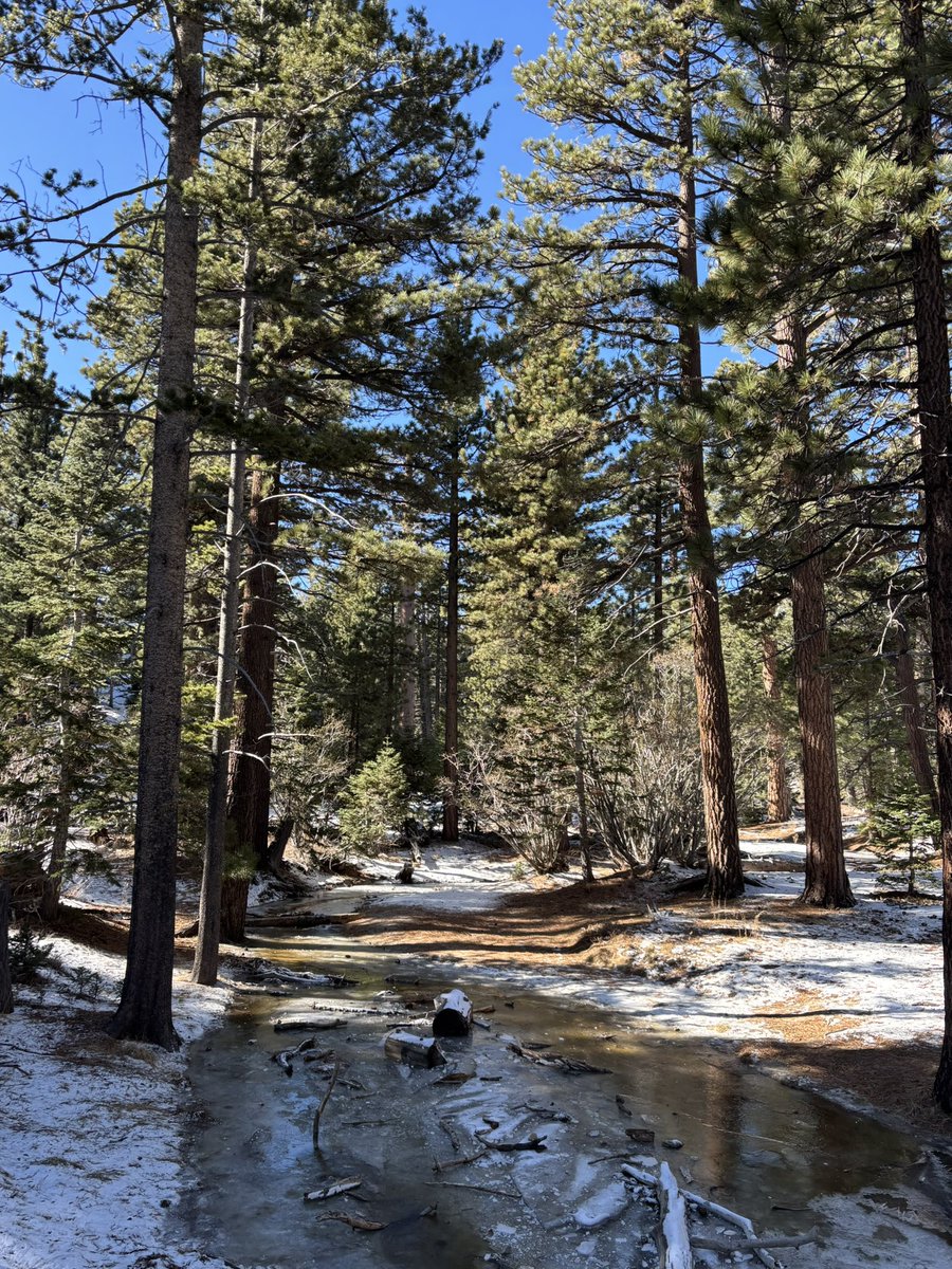 two photos taken 7 miles and 48 hours apart in palm springs, california