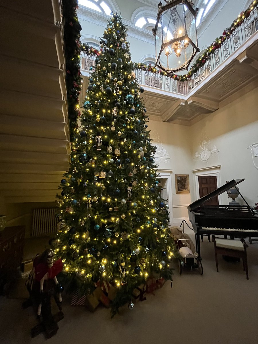 Amy Savage tweet media