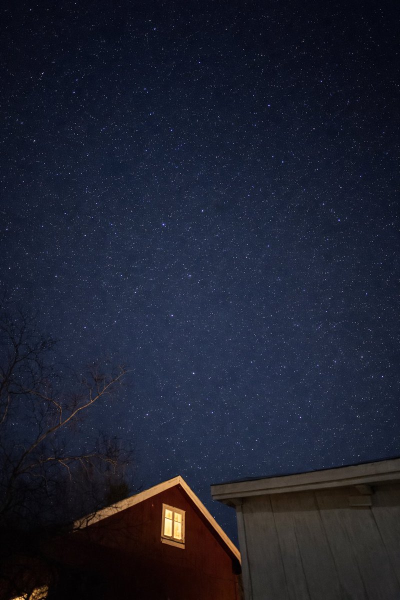 Oda Louise tweet media