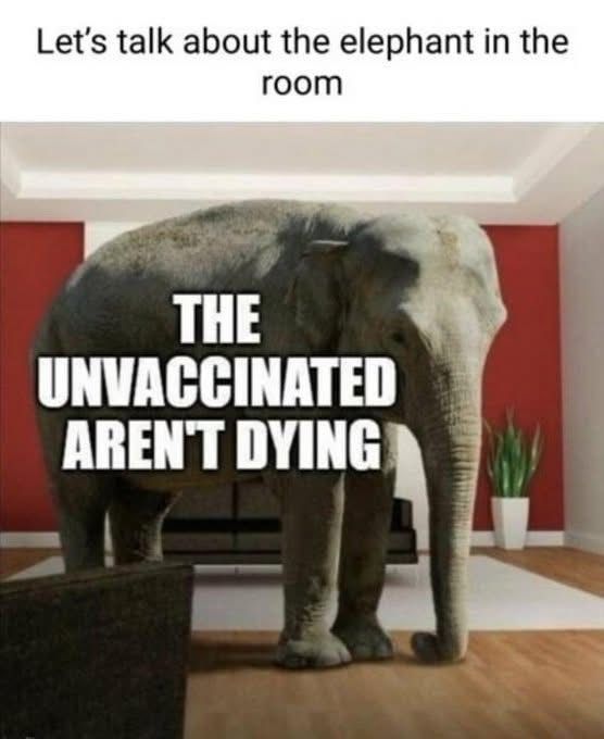 David Wolfe (@davidwolfe) on Twitter photo 