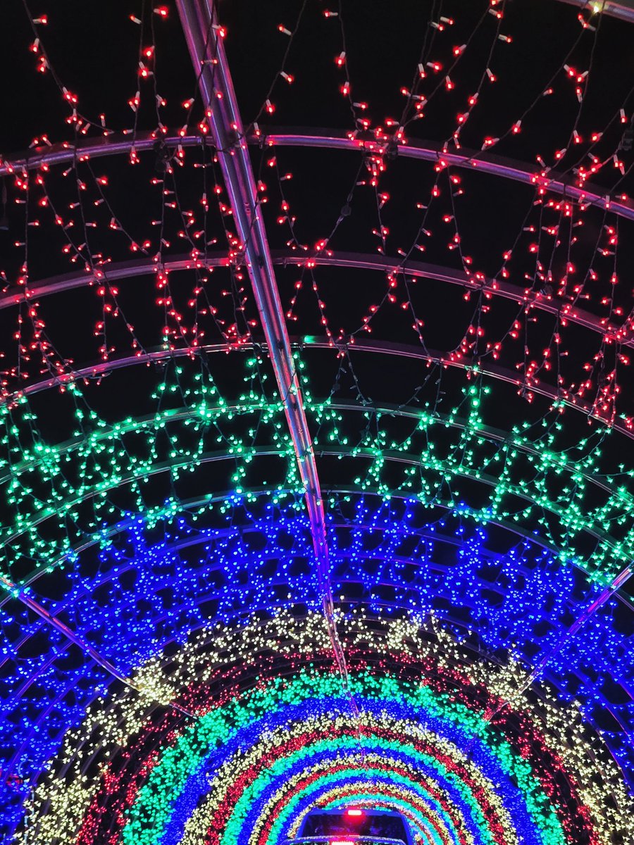 MaryCCope's tweet photo. Keeping our favorite US holiday tradition alive! There is something so special about returning to Fieldstream Farm every year. The incredible Christmas Lights creations never get old-it's pure holiday magic!

#NCChristmas
#USFamilyTradition
#AmbassadorTeacher2023 https://t.co/svkDMVxeG3