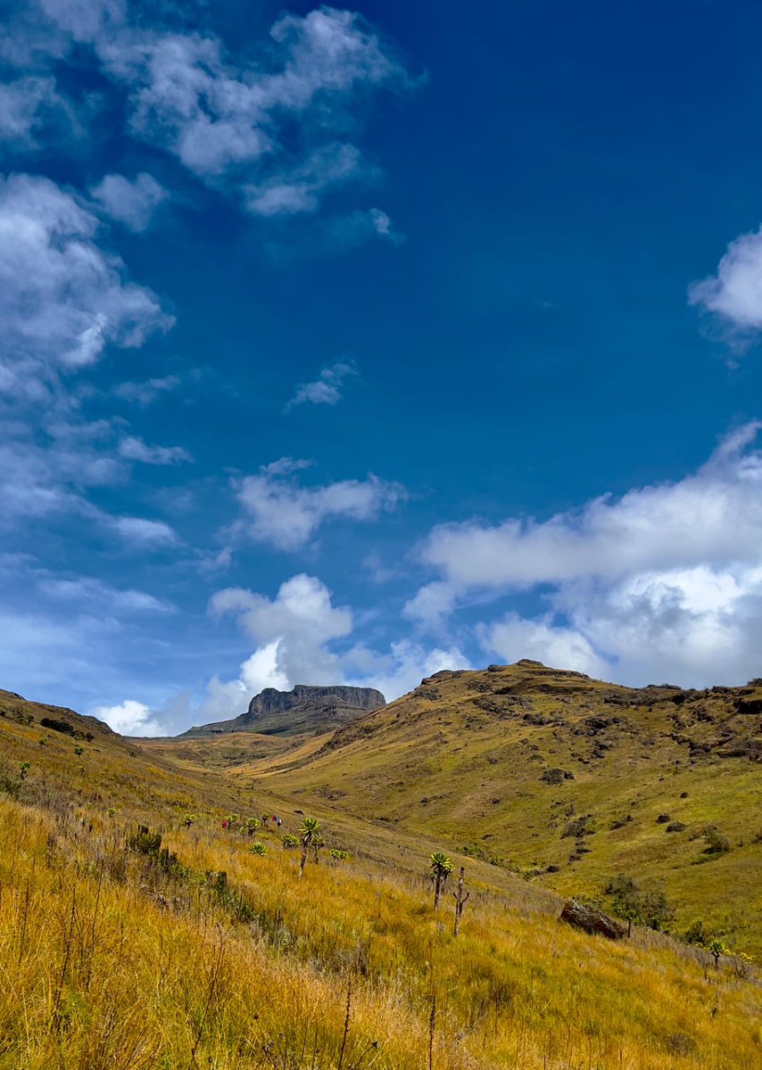 Eldoret FC tweet media