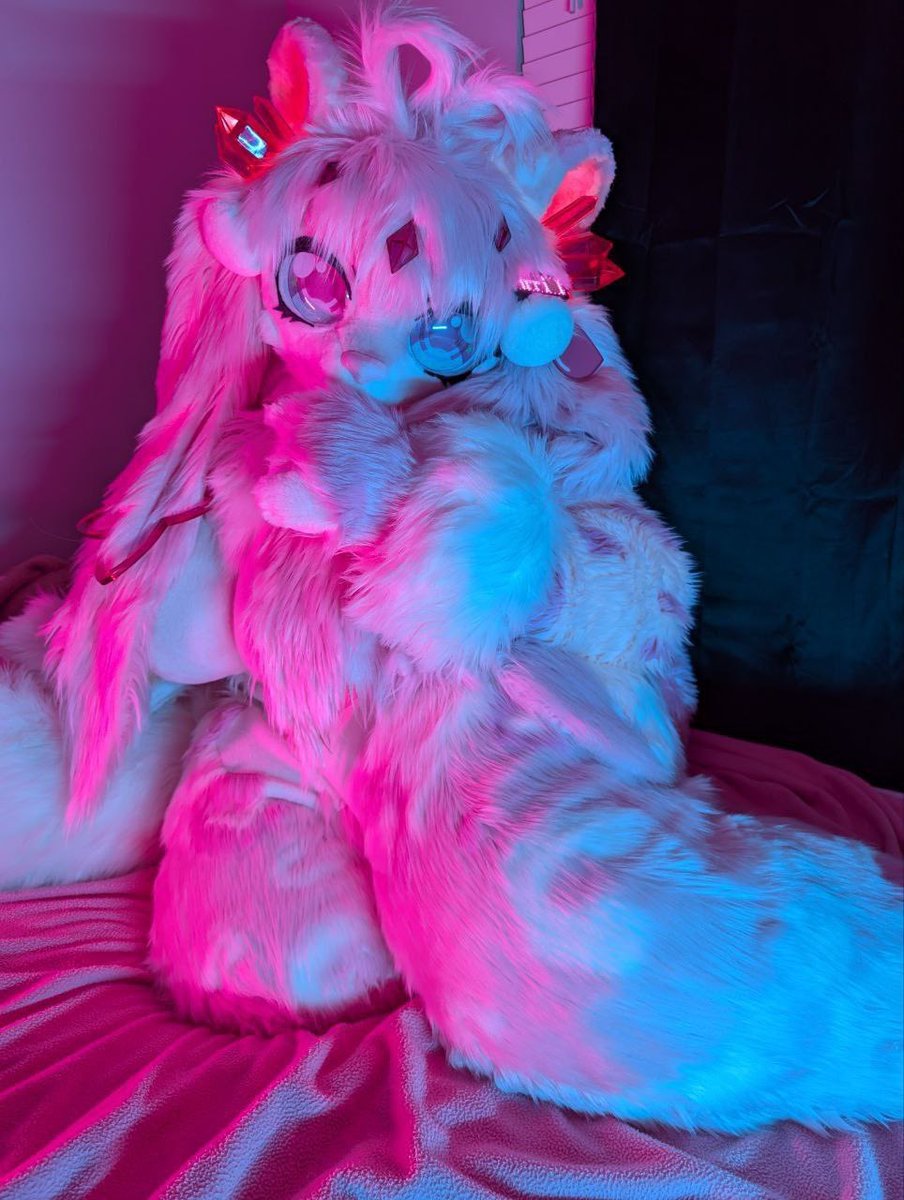 ⭐️Lumi The Noodle Dragon⭐️ (@lumithenoodle) on Twitter photo 