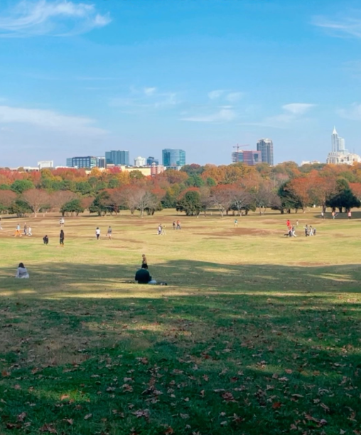 Dix Park tweet media