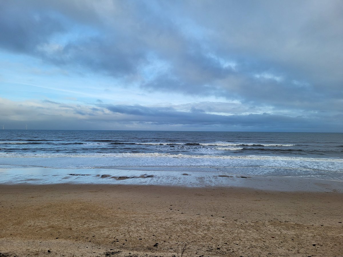 One Smol Bumble tweet media