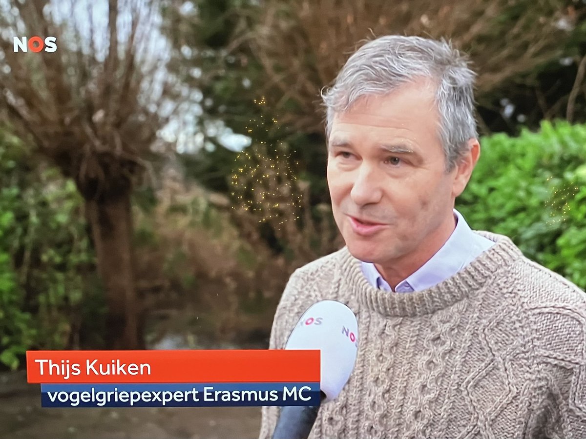 Brigitte tweet media