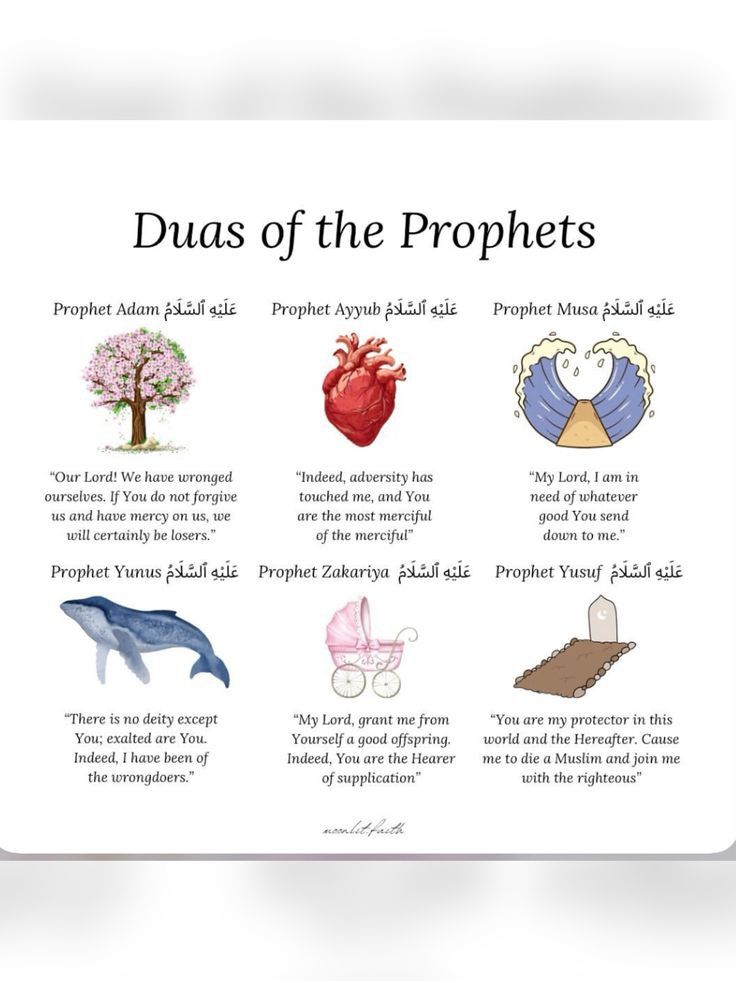 ⬇️ (@islamandlife) on Twitter photo 