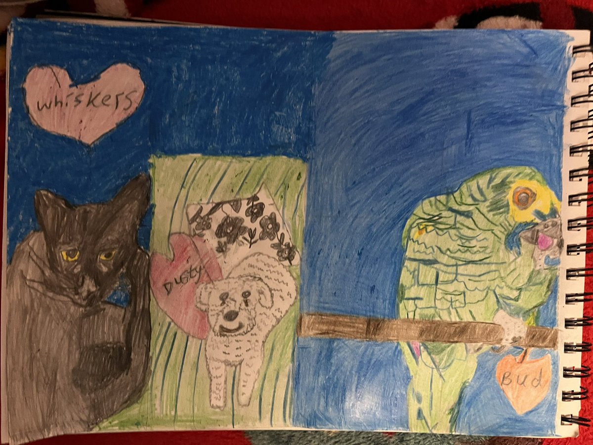 Drawing in memory of my pets Whiskers🐈‍⬛ Dusty 🐩 Bud🦜