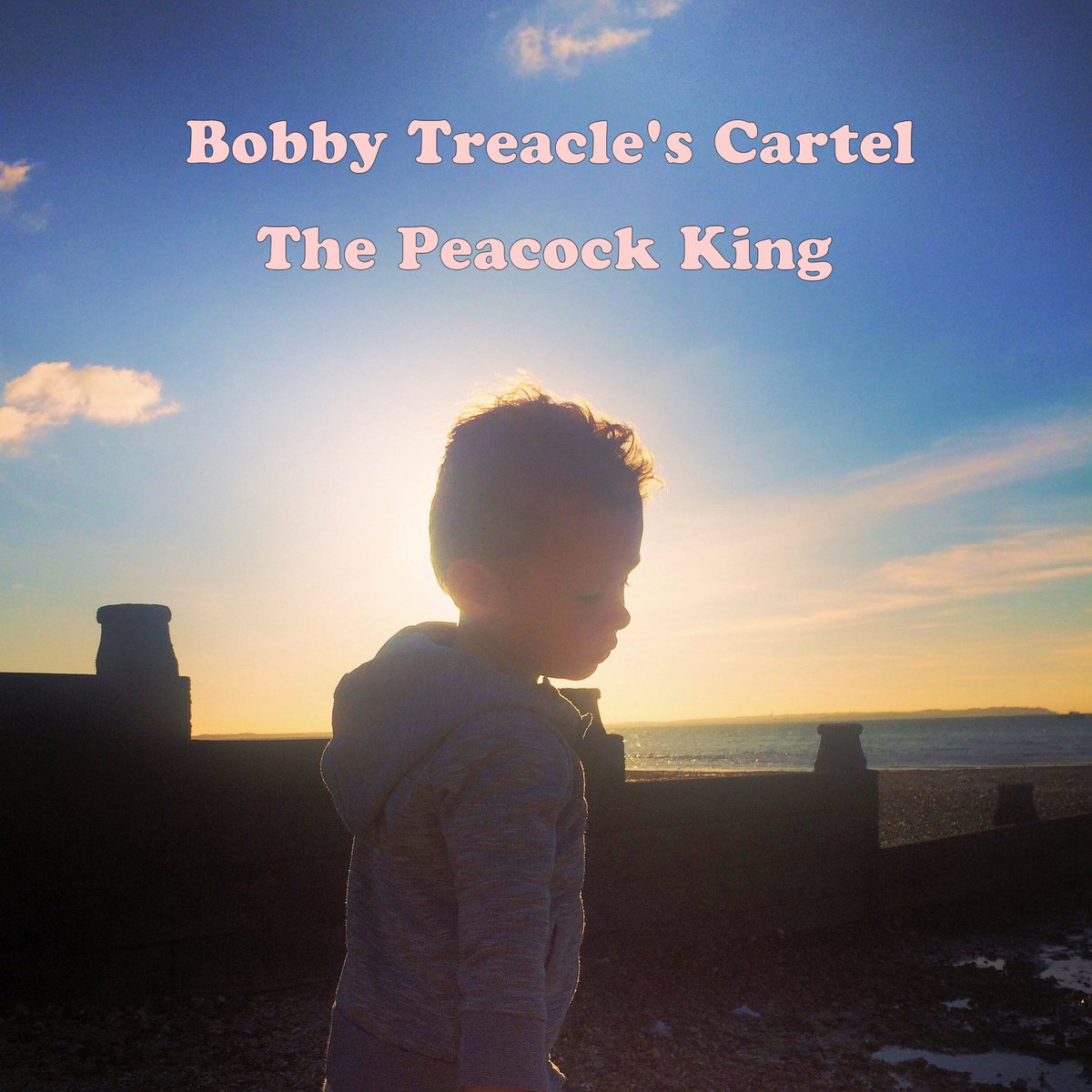 Cheers to everyone who supported the Cartel throughout 2025 and to those who streamed, downloaded and purchased the new album “The Peacock king” Stay tuned for more gigs and music projects coming in 2026. Be lucky ✌🏻🍺❤️🦚👑 ⬇️ 
bobbytreaclescartel.bandcamp.com 
#NewMusic #Newalbum #LP4