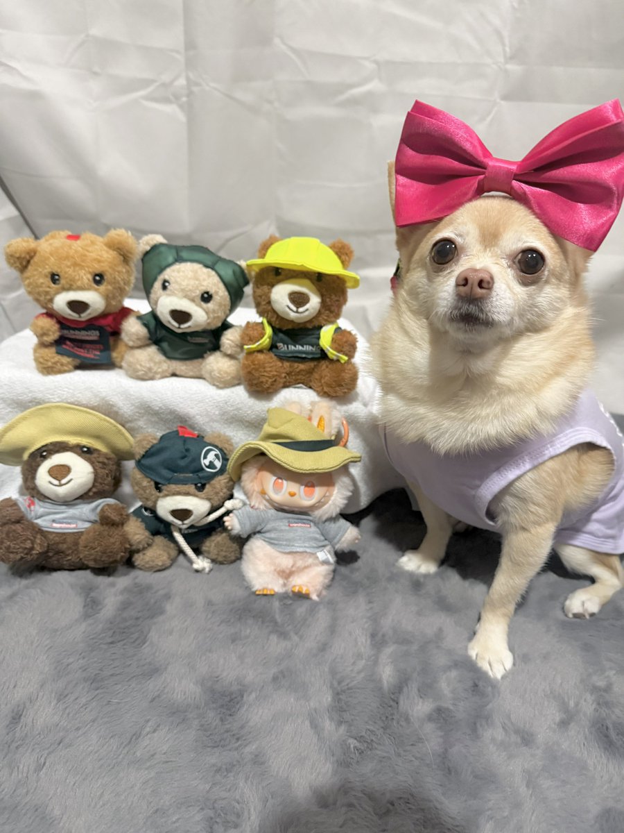 🧚🏻‍♀️🎀 Tinkerbell 🎀🧚🏻‍♀️ tweet media
