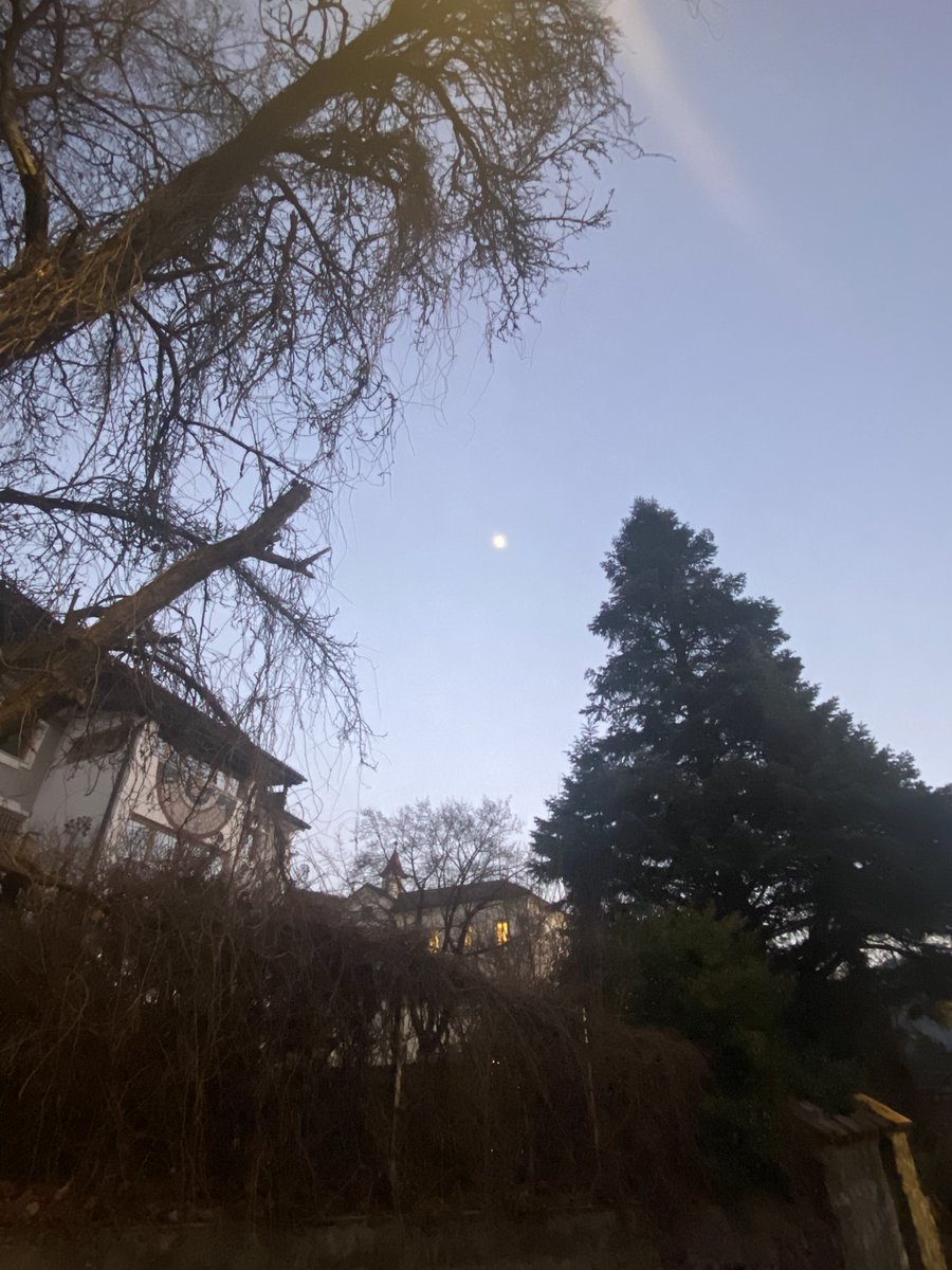 Sonia Zuccaro tweet media