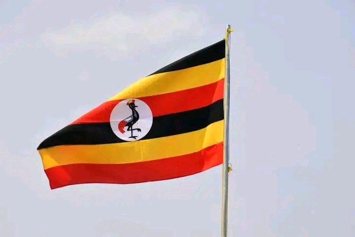 Ckdenzo1's tweet photo. THIS IS MY HERITAGE AND MY IDENTITY AS A UGANDAN, AND THERE'S NO WAY YOU WILL RESTRICT ME FROM LOVING MY COUNTRY,,
AM NOT A SLAVE IN MY OWN COUNTRY 🇺🇬,
THIS IS THE ONLY PRIDE AM LEFT WITH AS A UGANDAN 🇺🇬,,,
@UgandaNationalFlag
#AmAUganda
@PatrioticUgandan https://t.co/Xqr512VJFX