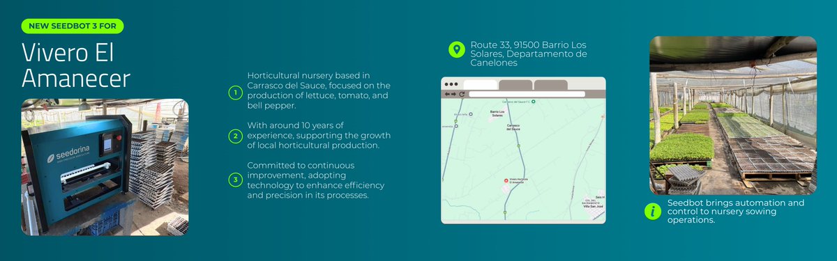 Seedorina tweet media