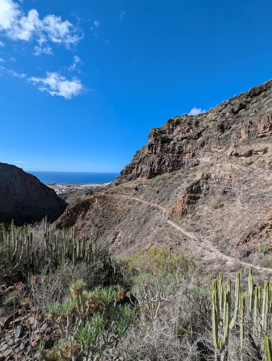 Lukasz Wiecaszek tweet media