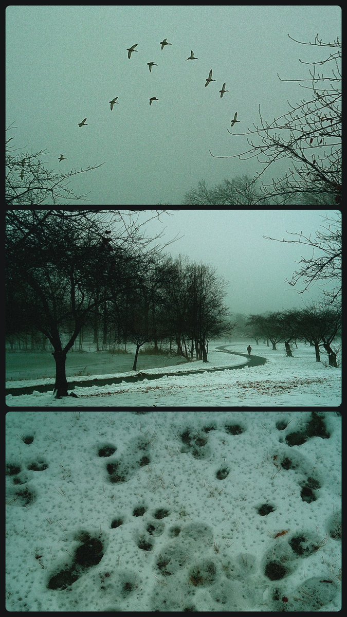 Modoshoot's tweet image. The camera 🤝 the photos

📷 @CampSnap