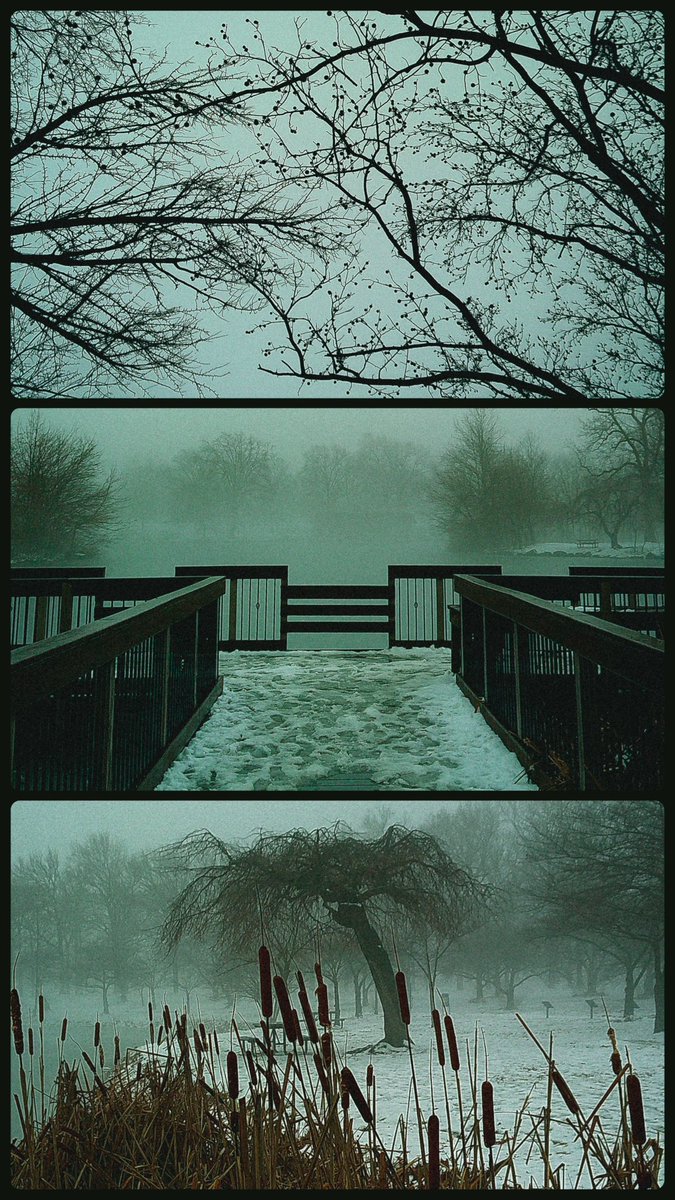 Modoshoot's tweet image. The camera 🤝 the photos

📷 @CampSnap