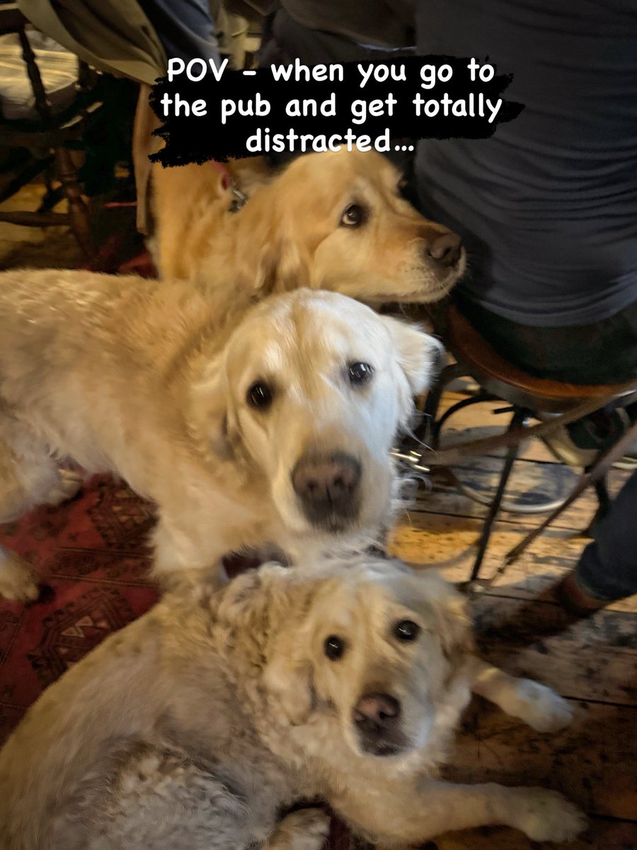 Countess Bathurst tweet media