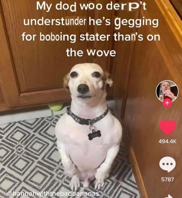 NyhtShroud's tweet image. 