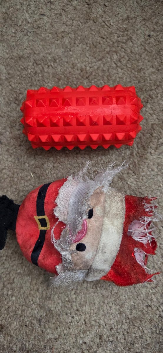 SiyakaTurtle's tweet photo. @barkbox Santa has shuffled off his mortal coil... and will go to the dead toy box
It is hard work being a Christmas toy... Santa Clause 
25 December-29 December 2025 https://t.co/PfyG8arabF