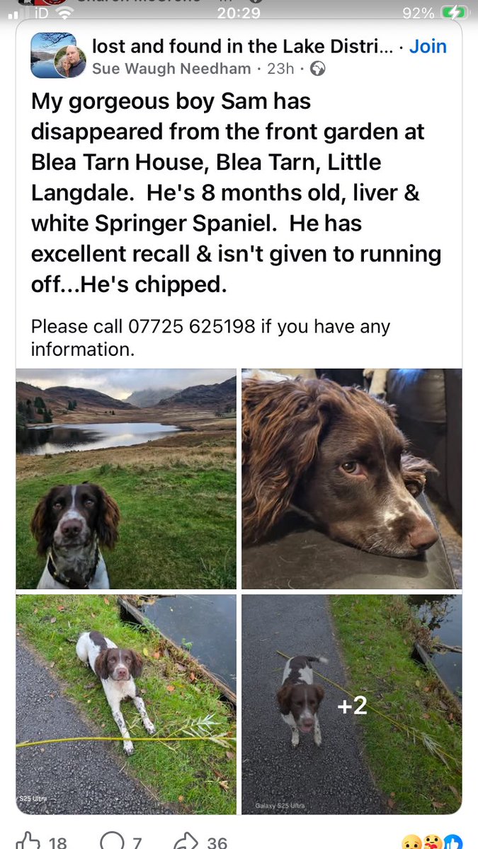 Please share - stolen

facebook.com/share/p/1KUHko…