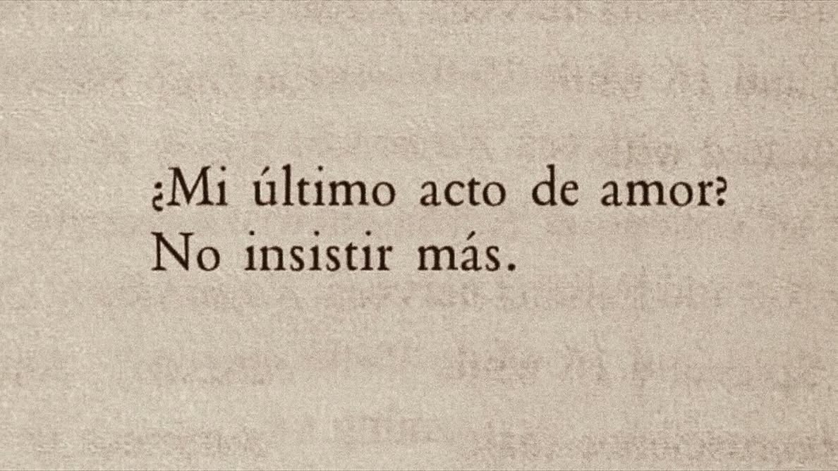 notasyfotos's tweet image. 