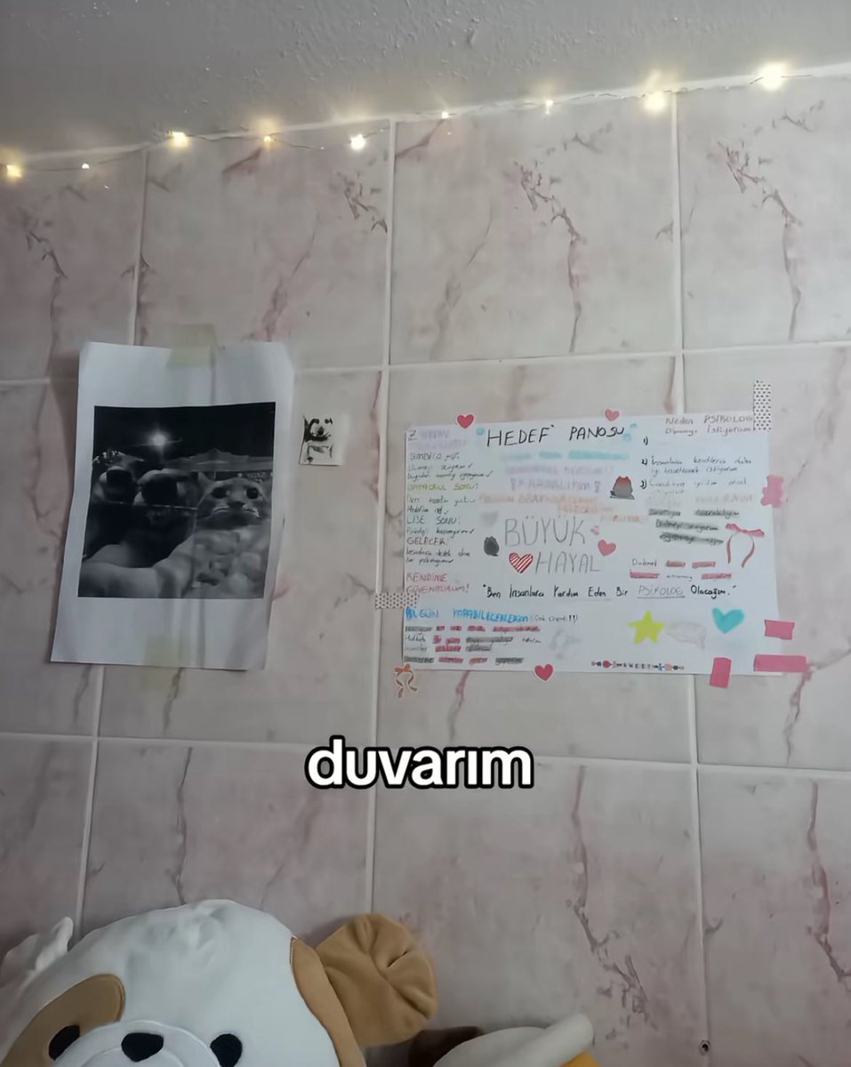 tiktokta bir kız gördüm ailesi büyük ihtimalle evde yer olmadığı için tuvaleti oda yapmış, kız da resmen iki adamın sığmayacağı fayanslı odasına çiçek, süs asmış, hayaller panosu koymuş..

valla öfkeden alev alacağım yemin olsun bu genç kızdan hayatını çalanlarla barışmayacağız