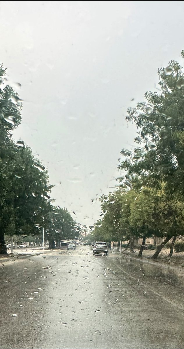 شهْد tweet media