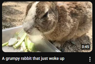 Jodie! 🍉 (break) (@thatdumbjodie) on Twitter photo 