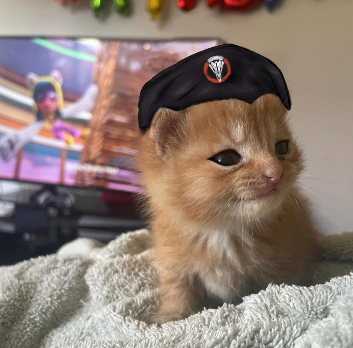 __Coalescence__'s tweet image. 