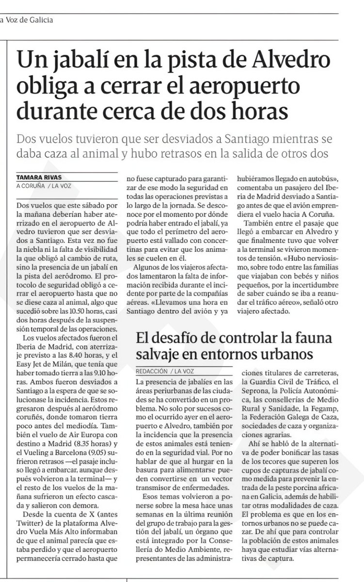 🇪🇸🐗🦌🐂🇪🇸 (@el_onubense) on Twitter photo 