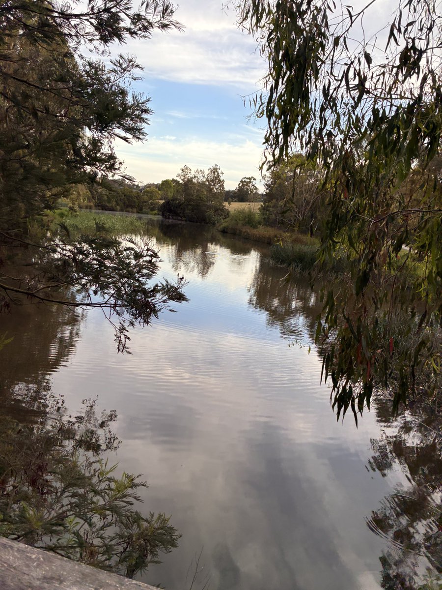 avinashjgd's tweet image. Melbourne wakes. 30th Dec 2025 Tuesday
I run.😍
Magic follows. ✨
#Day338 #TheMagicOfRunningContinues #AmchiMelbourne😇
#RuffeyLakePark😍