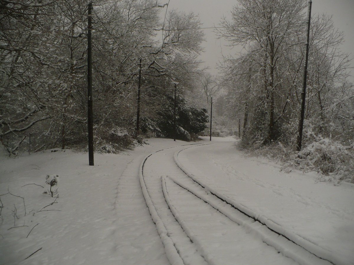 The Shore Line Trolley Museum tweet media