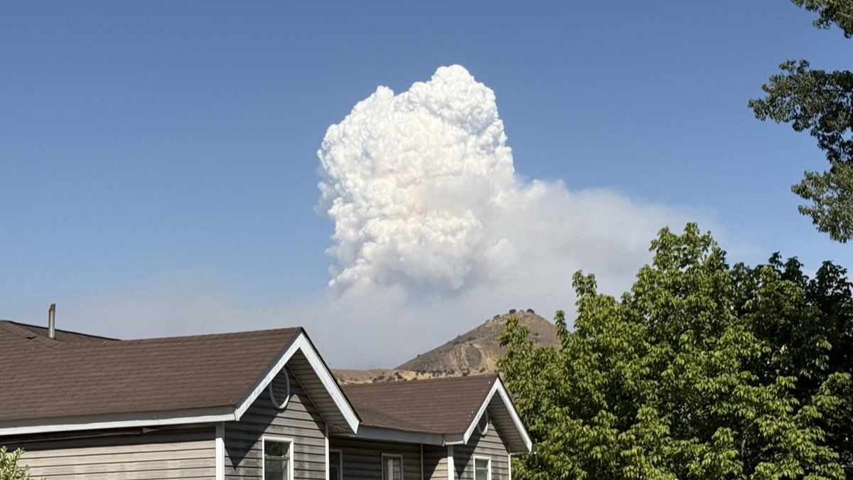 Felipe Zuniga tweet media