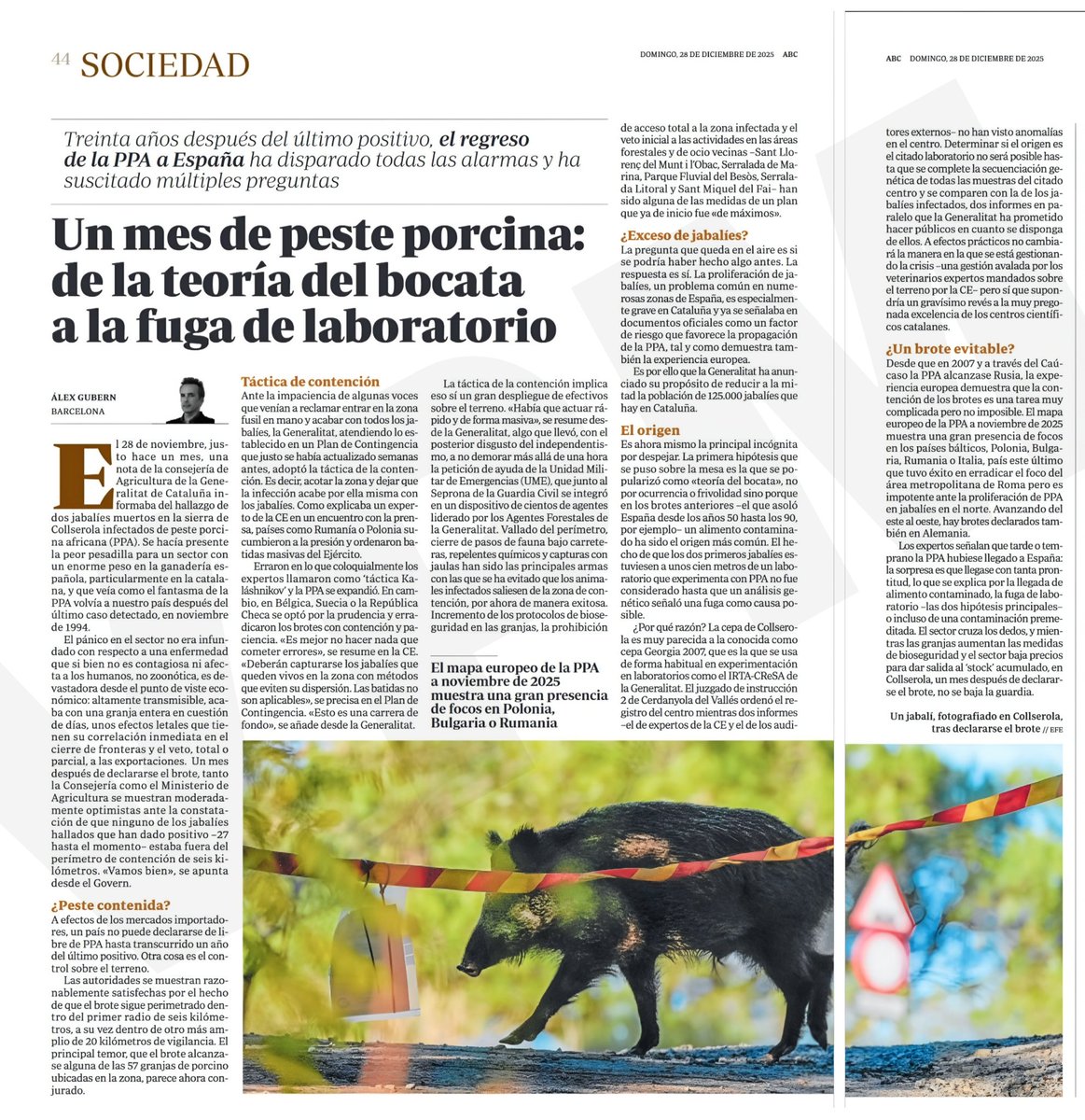 🇪🇸🐗🦌🐂🇪🇸 (@el_onubense) on Twitter photo 