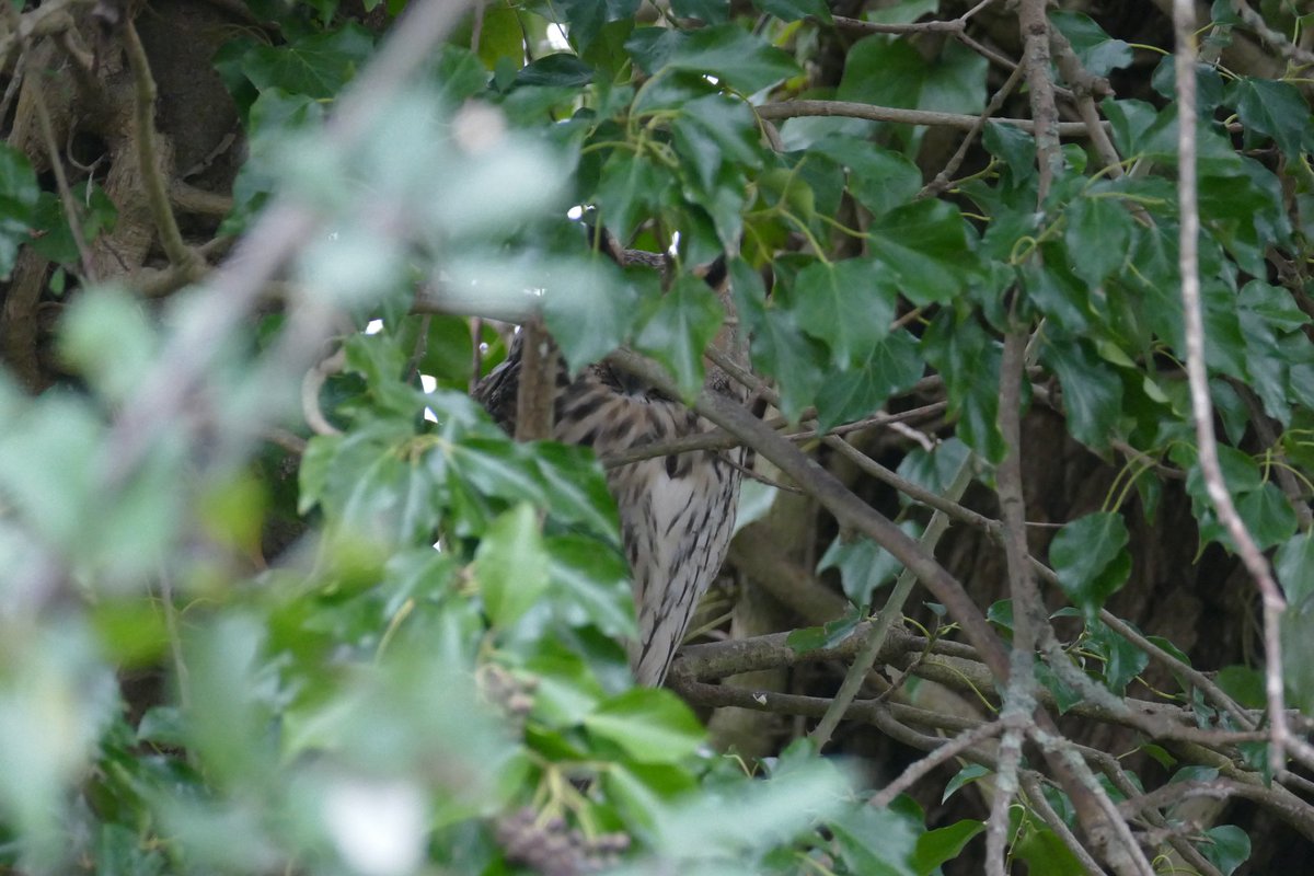 Thomas Porter tweet media