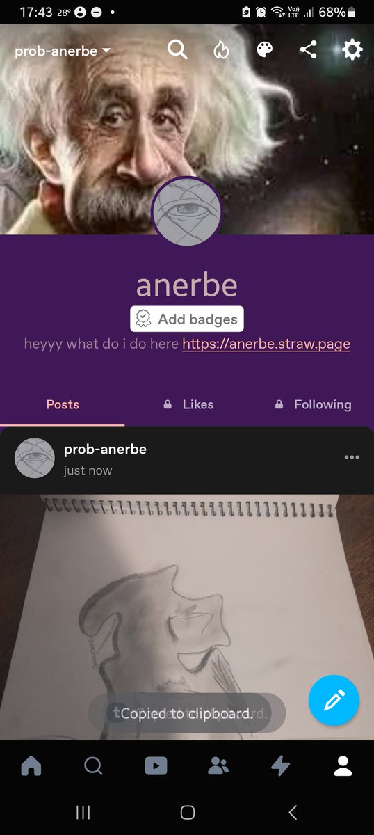 anerbe 🏳️‍⚧️ tweet media