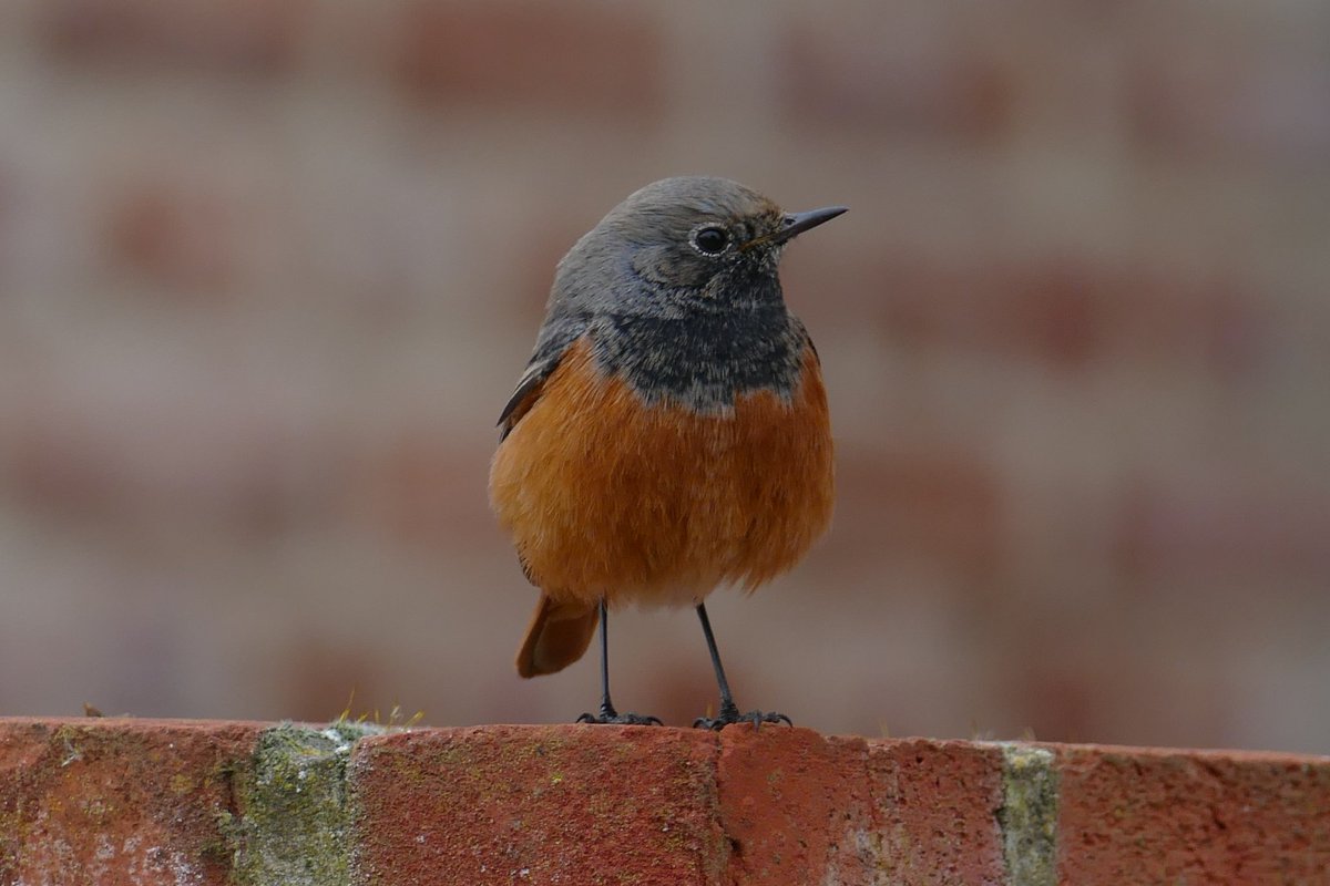 Thomas Porter tweet media