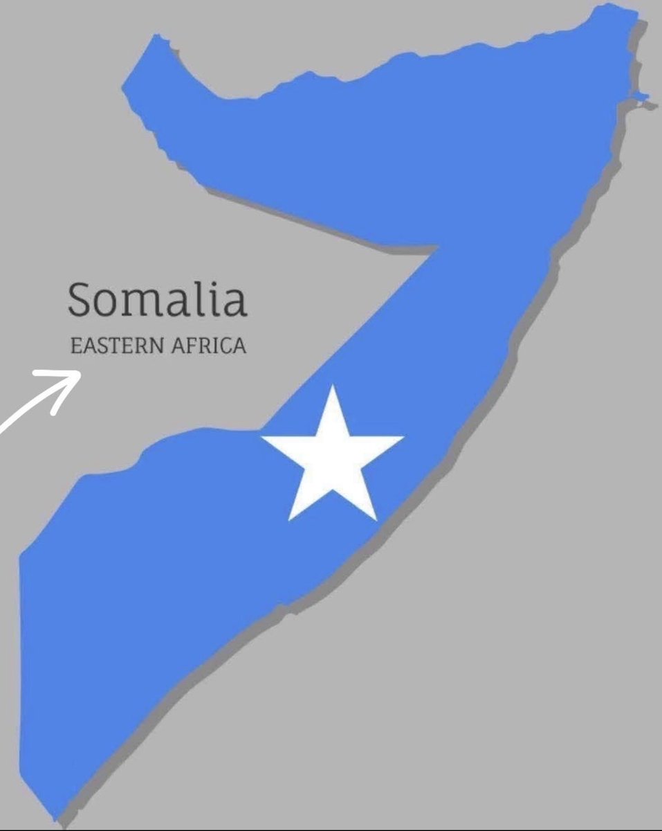 G0RG0R_'s tweet image. ‼️Both UK and US has reaffirmed  Somalia sovereignty and territorial integrity at UN Security Council emergency meeting