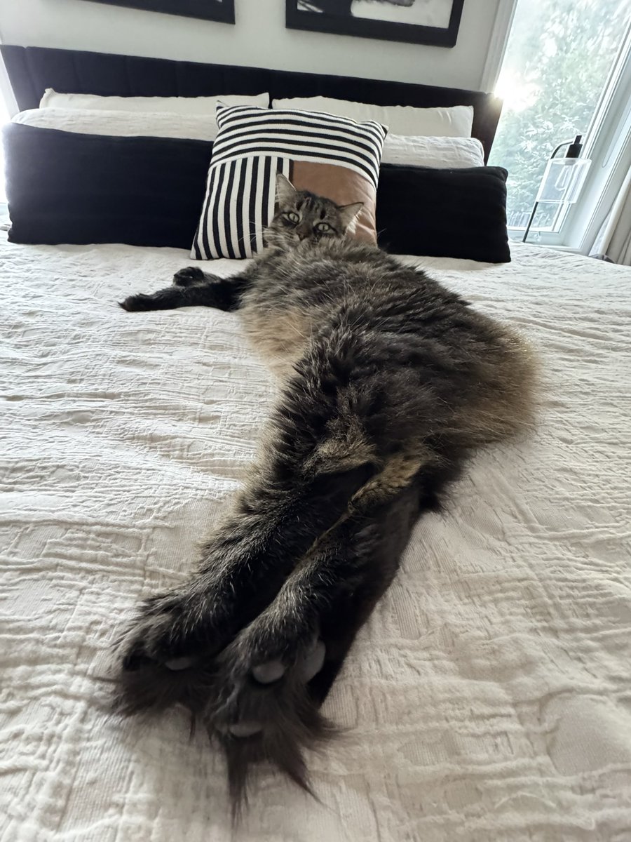 ItsBlarg's tweet image. Robert da long way