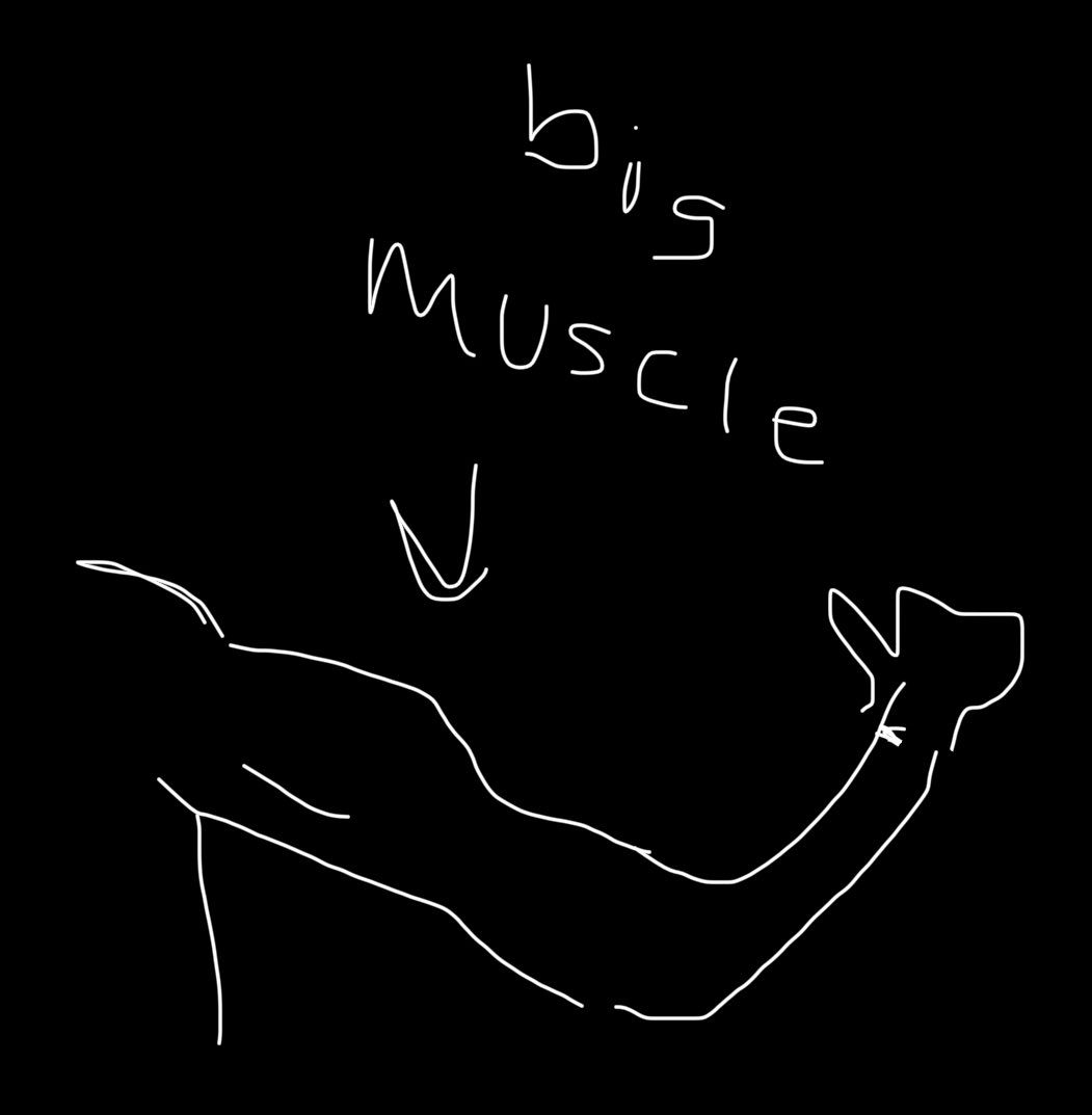 ayahmtrying's tweet image. I’m a hijabi so I’ll draw it for u X