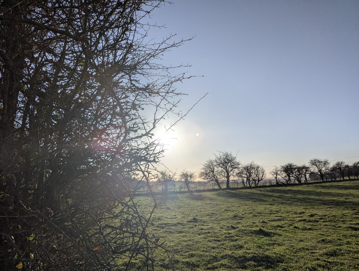 nickbiss39's tweet image. Glorious winter sunshine that warms inside and out #SmallBeautiesHour #BecauseOfClem #ThreadOfGold