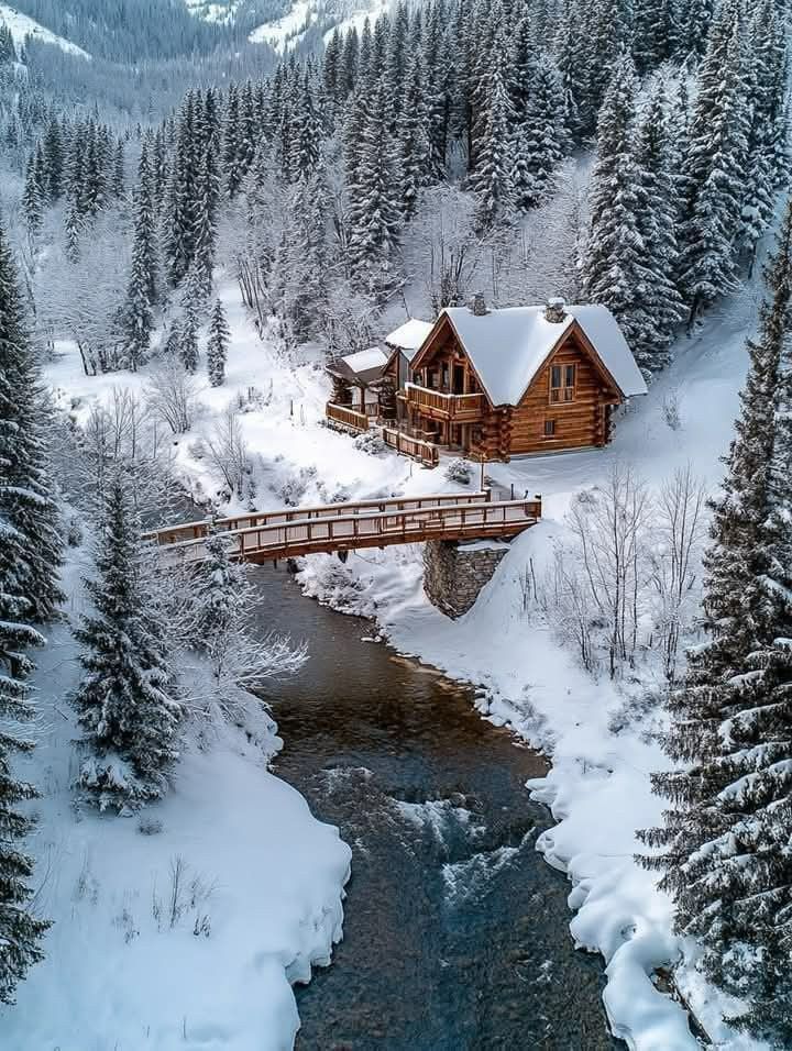 Beautiful flowers 🪷 (@annarblk) on Twitter photo 