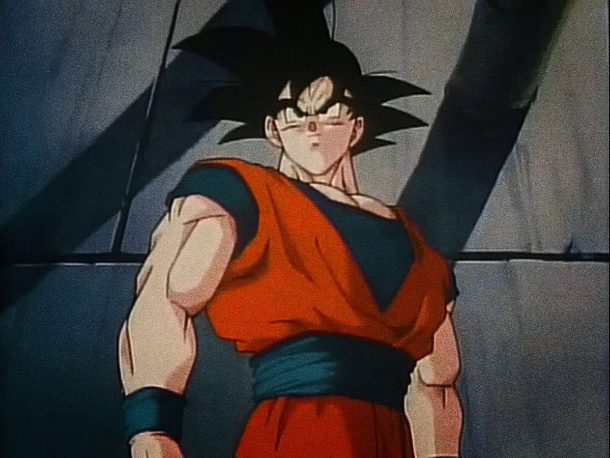 Daily Son Goku (@daily_goku) on Twitter photo 