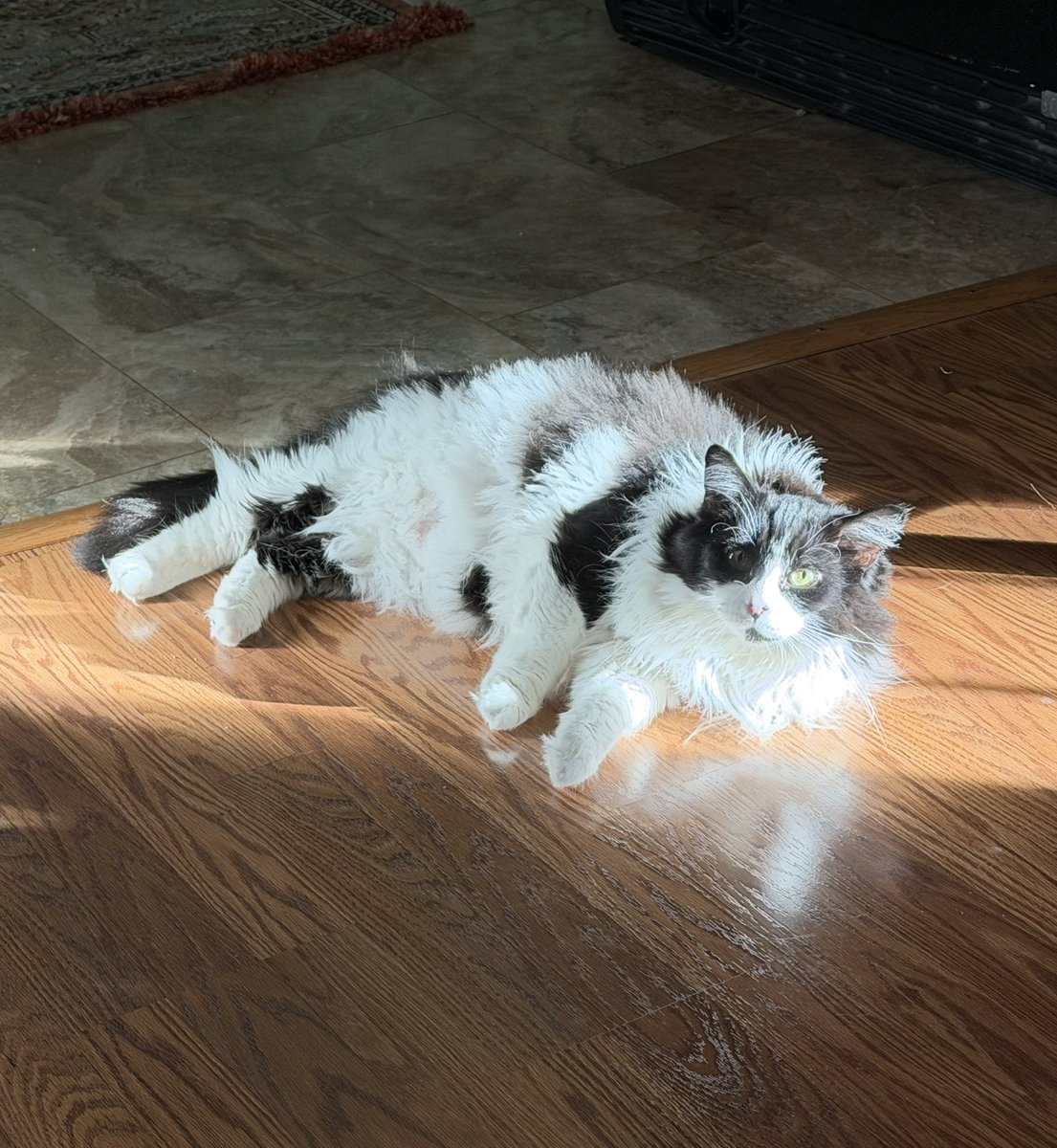 An angel appeared before me